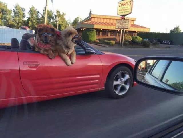 Picdump 123 - #18 
