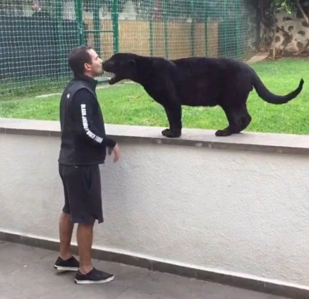 Picdump 123 - #29 