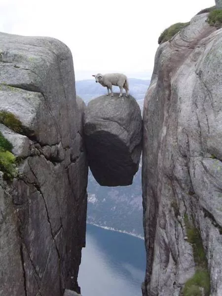 Picdump 123 - #45 