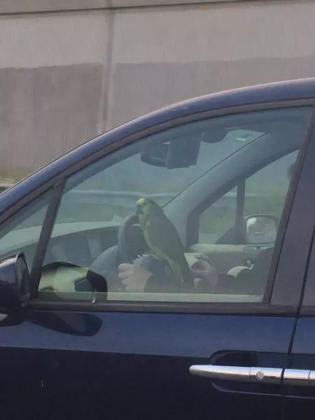 Picdump 123 - #55 