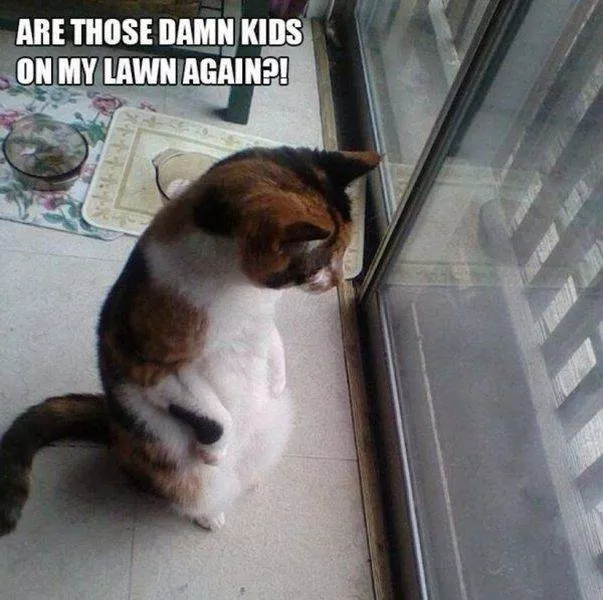Picdump 123 - #60 