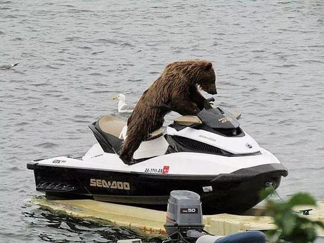 Picdump 123 - #7 