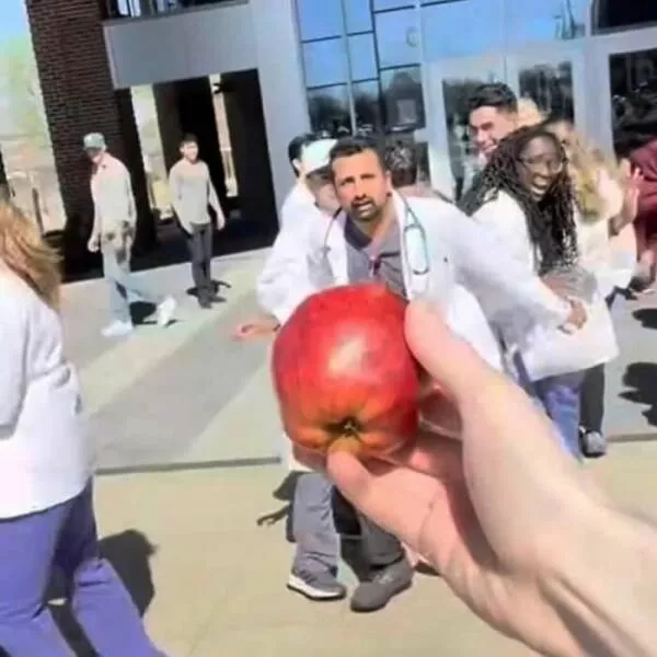 Disturbing images that defy logic and taste - #1 