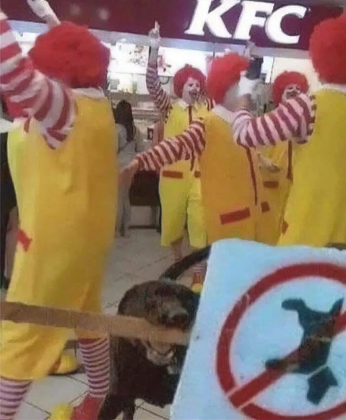 Disturbing images that defy logic and taste - #23 