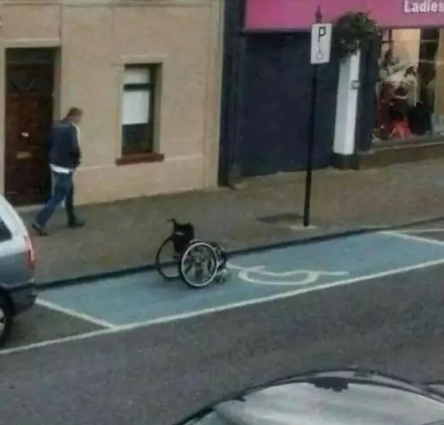 Disturbing images that defy logic and taste - #5 