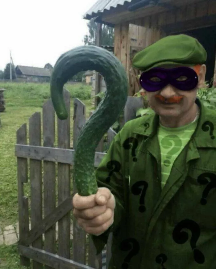 Disturbing images that defy logic and taste - #6 