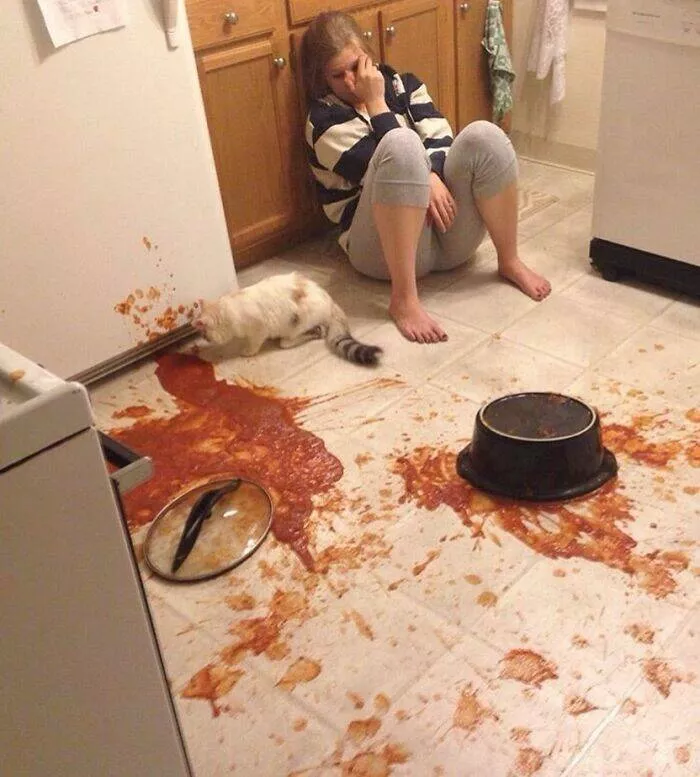 Disturbing images that defy logic and taste - #7 
