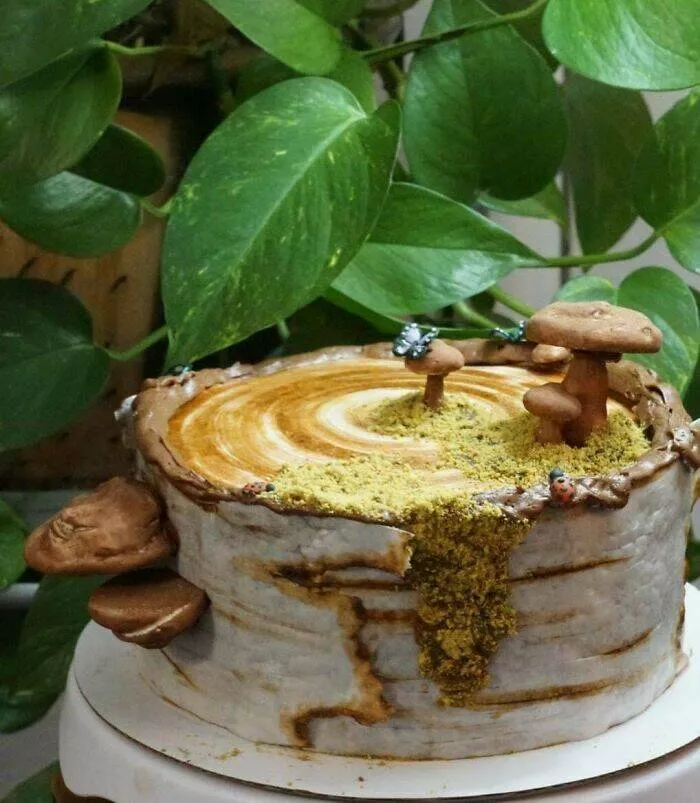 Culinary masterpieces crafted by exceptional chefs - #14 