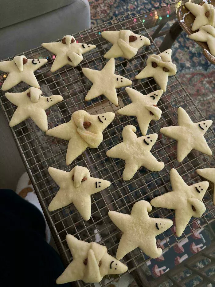 Culinary masterpieces crafted by exceptional chefs - #17 