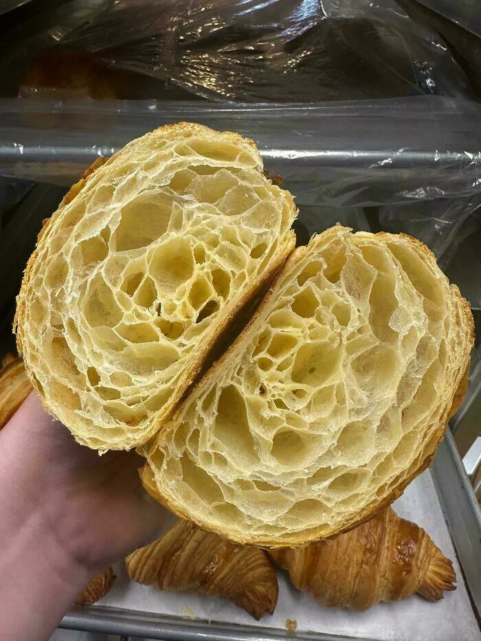 Culinary masterpieces crafted by exceptional chefs - #7 