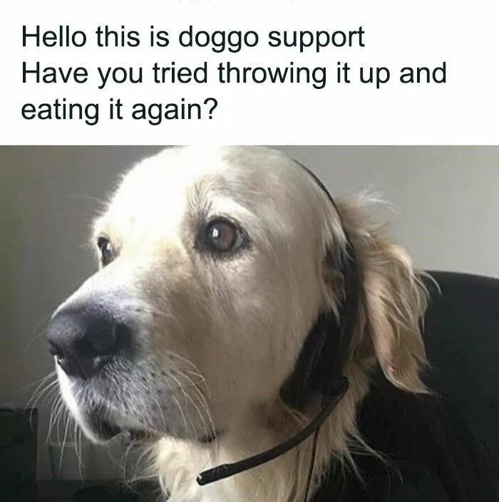 Memes de chiens hilarants pour illuminer votre journee - #15 