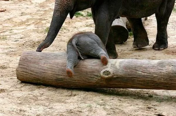 Picdump 1001 - #1 