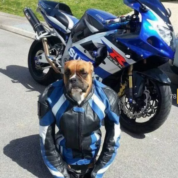 Picdump 1001 - #30 