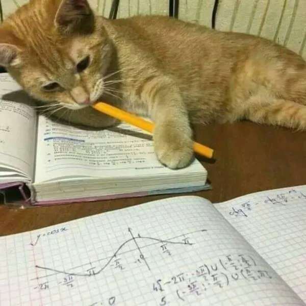 Picdump 1001 - #6 