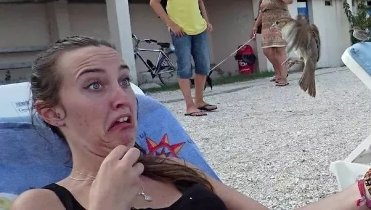 Picdump 1002 - #3 