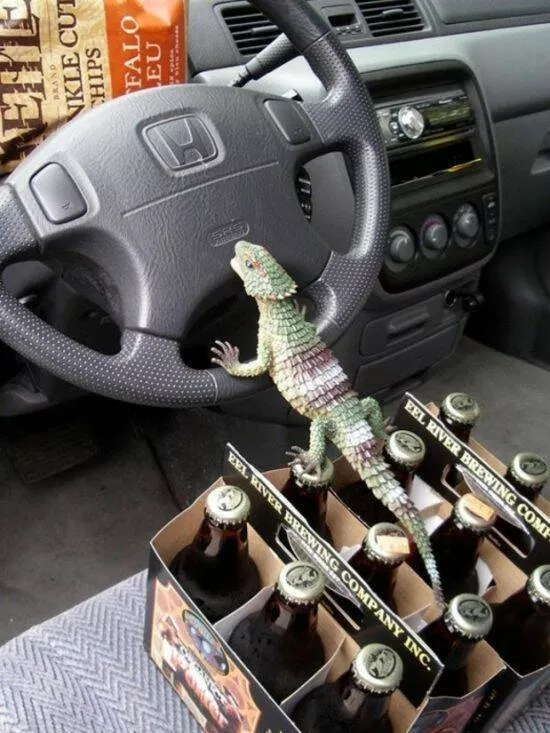 Picdump 1002 - #46 