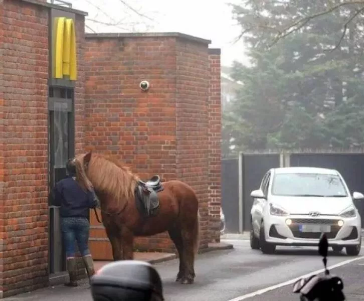 Picdump 1002 - #52 