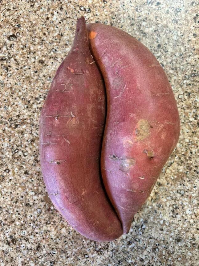 Visually pleasing moments you didnt expect - #26 Two Random Sweet Potatoes Snapped Together Like Puzzle Pieces Visually pleasing moments you didnt expect - #26 Two Random Sweet Potatoes Snapped Together Like Puzzle Pieces
