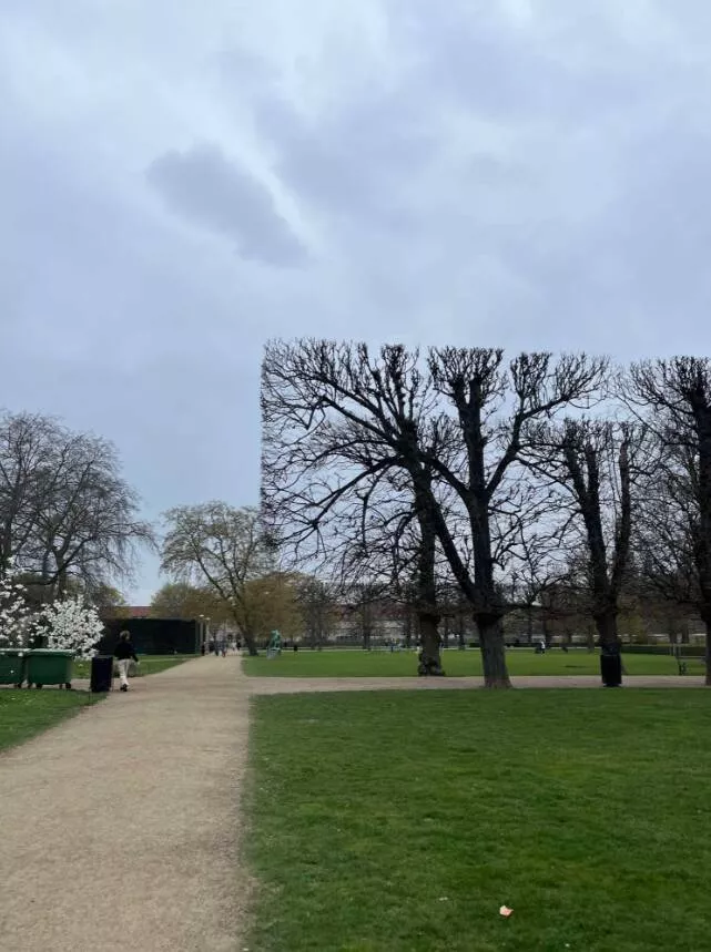 Visually pleasing moments you didnt expect - #27 Perfectly Square Trees—Nature, You Good? Visually pleasing moments you didnt expect - #27 Perfectly Square Trees—Nature, You Good?
