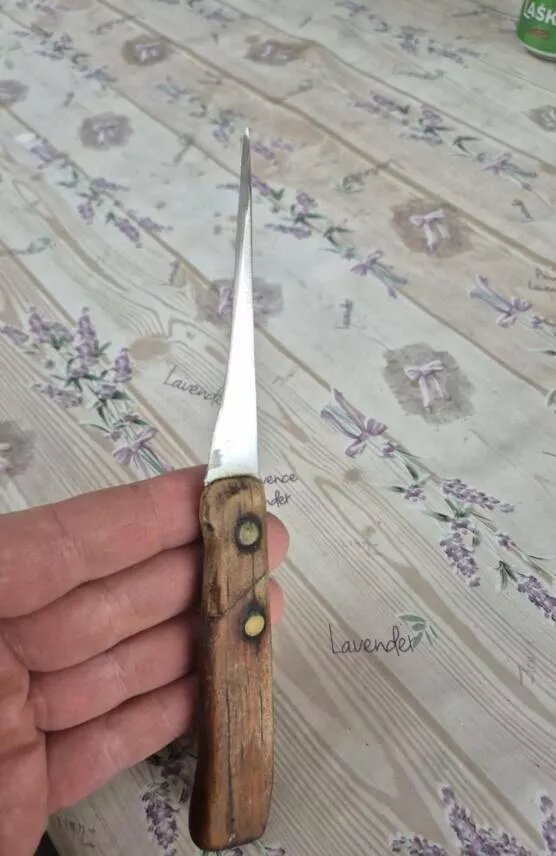 Visually pleasing moments you didnt expect - #34 My Grandma’s Knife Is So Worn, It’s Almost a Toothpick—Over 40 Years Old Visually pleasing moments you didnt expect - #34 My Grandma’s Knife Is So Worn, It’s Almost a Toothpick—Over 40 Years Old