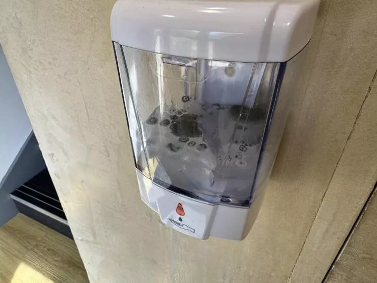 Visually pleasing moments you didnt expect - #9 Found Mold Growing in the Antibacterial Gel Dispenser