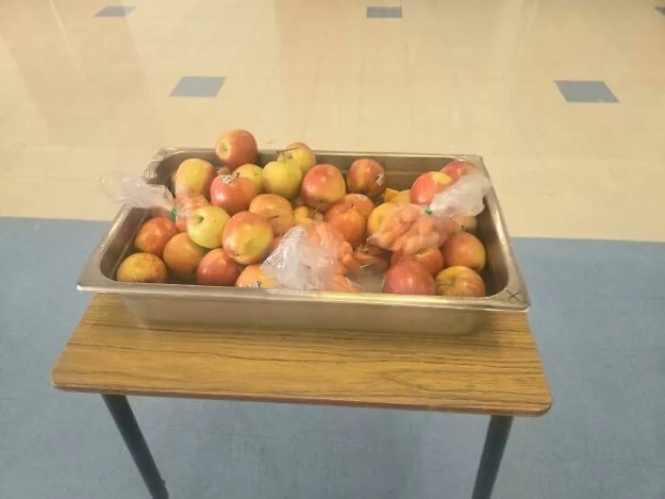 Scenes surprenantes et revelatrices dans les ecoles americaines - #11 Un Truc Malin : Une Glacière Pour Déposer les Fruits Obligatoires Que les Élèves ne Veulent Pas – Pour Qu’ils Restent Frais Pour Les Autres Scenes surprenantes et revelatrices dans les ecoles americaines - #11 Un Truc Malin : Une Glacière Pour Déposer les Fruits Obligatoires Que les Élèves ne Veulent Pas – Pour Qu’ils Restent Frais Pour Les Autres