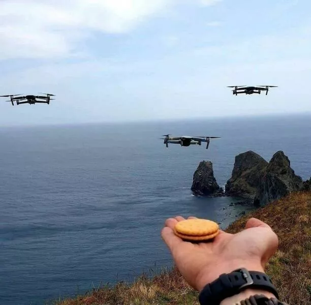 Picdump 1003 - #33 
