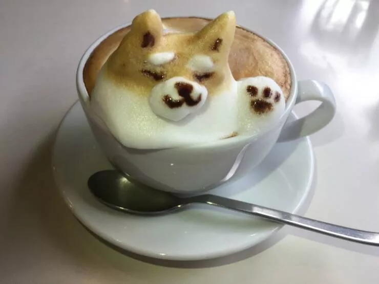 Picdump 1003 - #41 