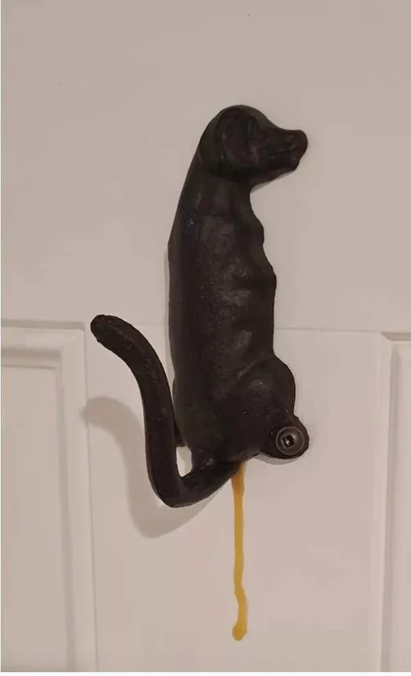 Pics that had us crying with laughter - #16 Pics that had us crying with laughter - #16