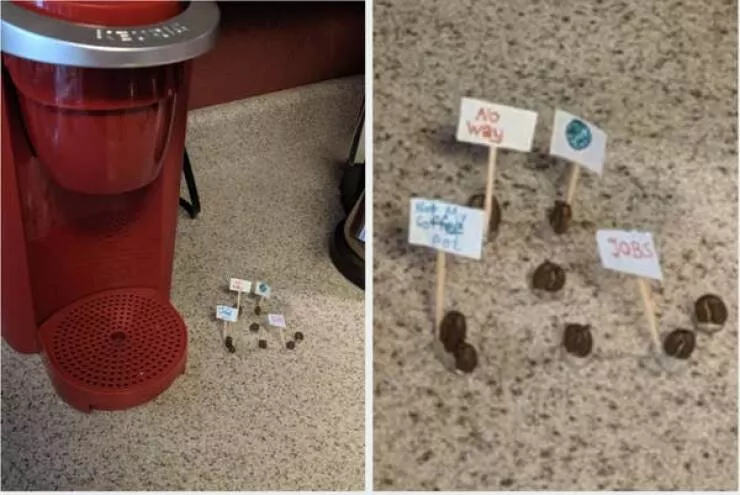 Pics that had us crying with laughter