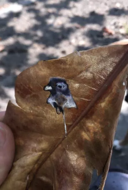 Pics that had us crying with laughter