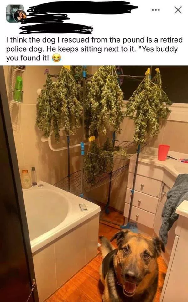 Pics that had us crying with laughter - #3 Pics that had us crying with laughter - #3