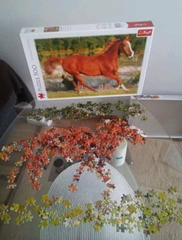 Pics that had us crying with laughter - #9 Puzzle? Done. But Only on the “Easy Mode”: Pics that had us crying with laughter - #9 Puzzle? Done. But Only on the “Easy Mode”: