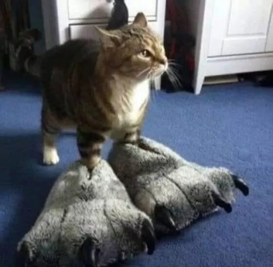 Picdump 1005 - #4 