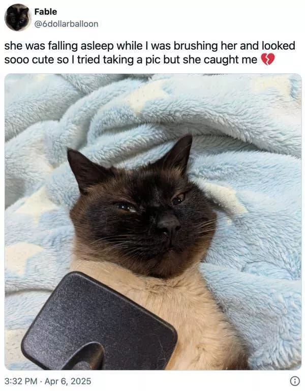 Uplifting internet joy wholesome highlights that warmed hearts - #10 