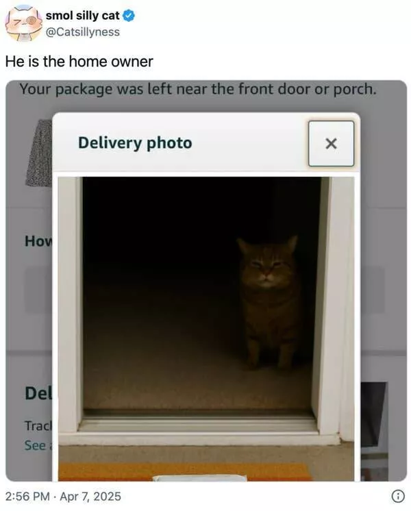 Instants reconfortants qui ont fait sourire tout le web - #15 