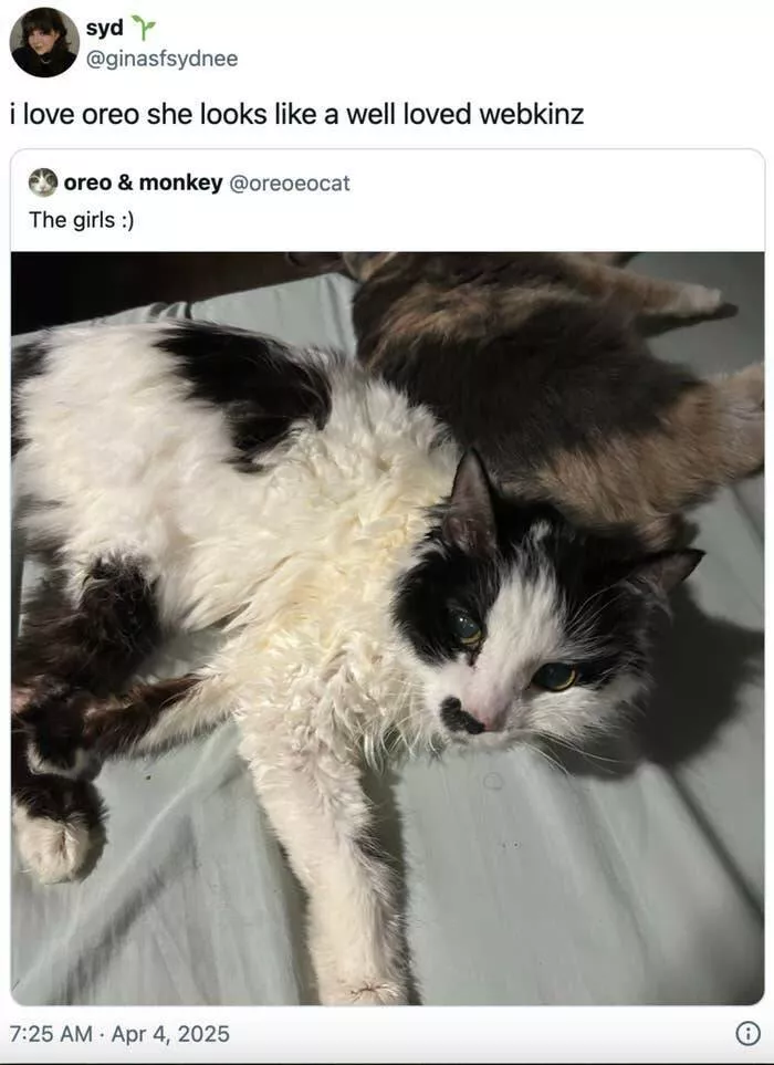 Uplifting internet joy wholesome highlights that warmed hearts - #2 
