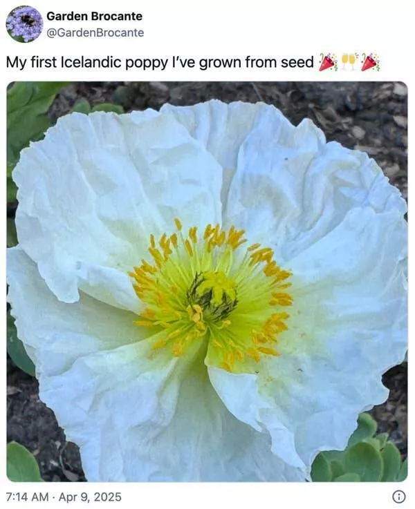 Uplifting internet joy wholesome highlights that warmed hearts - #21 