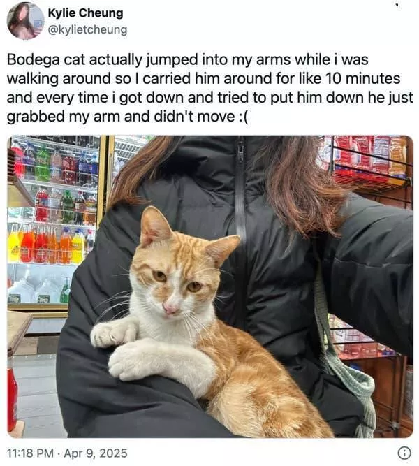 Uplifting internet joy wholesome highlights that warmed hearts - #22 