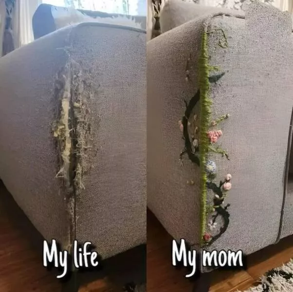 Uplifting internet joy wholesome highlights that warmed hearts - #28 
