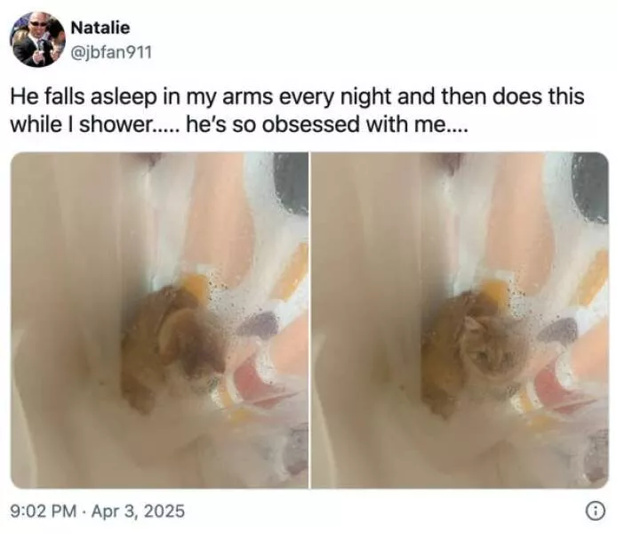 Uplifting internet joy wholesome highlights that warmed hearts - #3 