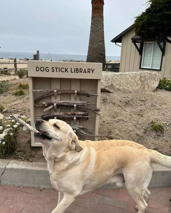 Uplifting internet joy wholesome highlights that warmed hearts - #30 
