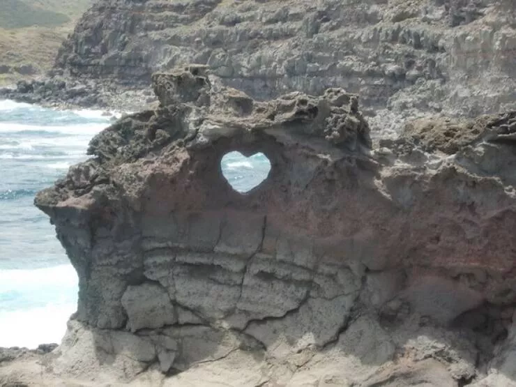 Uplifting internet joy wholesome highlights that warmed hearts - #33 