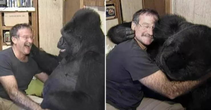 Uplifting internet joy wholesome highlights that warmed hearts - #34 