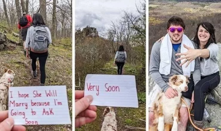 Uplifting internet joy wholesome highlights that warmed hearts - #46 Uplifting internet joy wholesome highlights that warmed hearts - #46