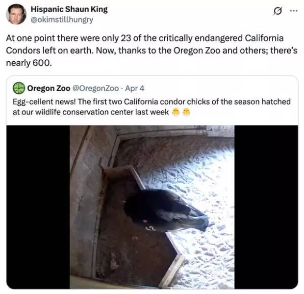 Uplifting internet joy wholesome highlights that warmed hearts - #8 
