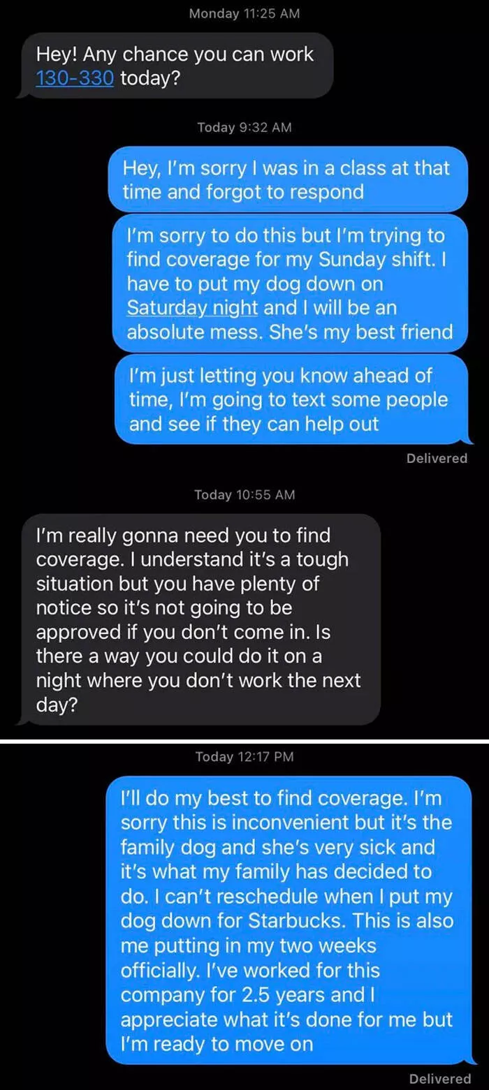 Toxic leadership vibes where team spirit went to die - #19 Gave My Notice After My Boss Asked Me to Reschedule Putting My Dog Down Toxic leadership vibes where team spirit went to die - #19 Gave My Notice After My Boss Asked Me to Reschedule Putting My Dog Down
