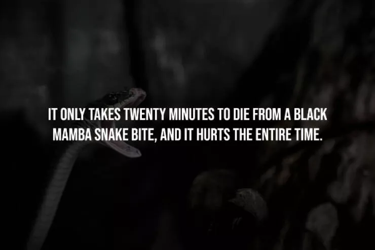 Unsettling truths that will haunt you - #1 