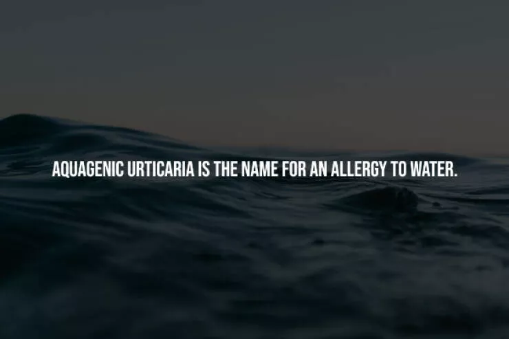 Unsettling truths that will haunt you - #10 