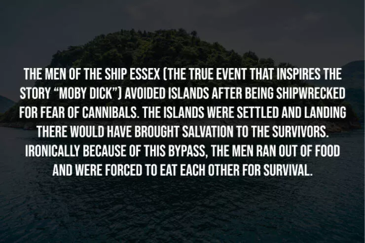 Unsettling truths that will haunt you - #11 